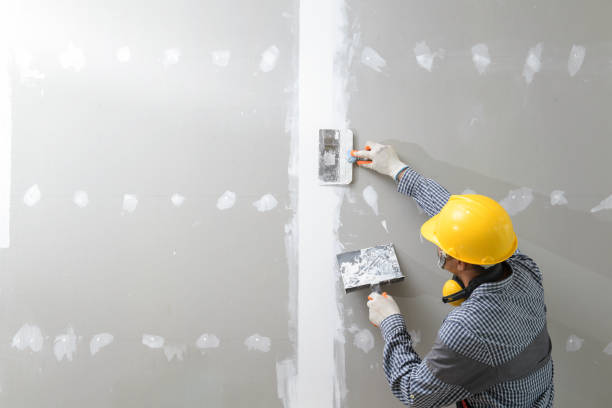 Best Commercial Mold Inspection  in Temple, GA