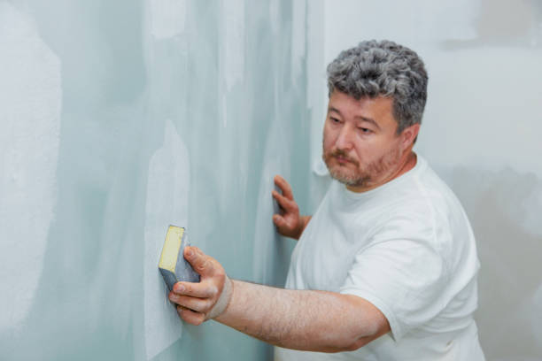 Best Airborne Mold Testing  in Temple, GA