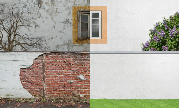 Best Post-Construction Mold Inspection  in Temple, GA